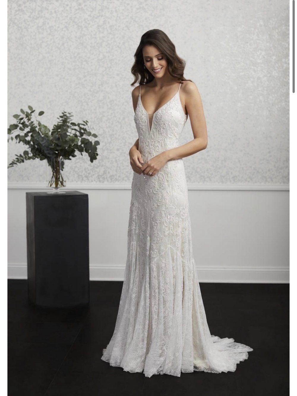 Adrianna Papell Platinum Wedding Dress
